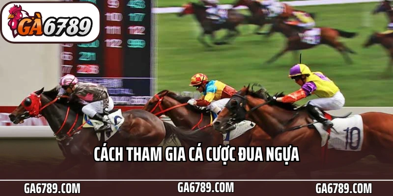 Cách tham gia cá cược đua ngựa