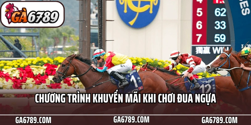 Chương trình khuyến mãi khi chơi đua ngựa